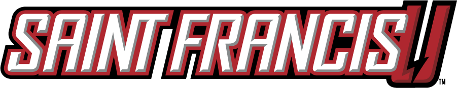 Saint Francis Red Flash 2012-Pres Wordmark Logo DIY iron on transfer (heat transfer)